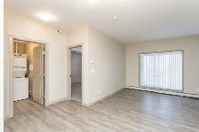 Beautiful 2 Bed 1 Bath - Sylvan Lake - Photo 10