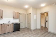 Beautiful 2 Bed 1 Bath - Sylvan Lake - Photo 11