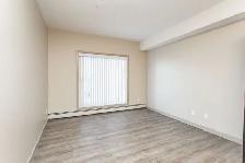 Beautiful 2 Bed 1 Bath - Sylvan Lake - Photo 14