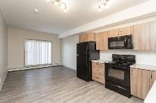Beautiful 2 Bed 1 Bath - Sylvan Lake - Photo 15