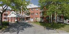 Logements 3 1/2 pour 50 ans et plus Île Bizard
