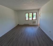 Arnprior / White Lake: 2-bedroom plus Den Apartment For Rent - Photo 13