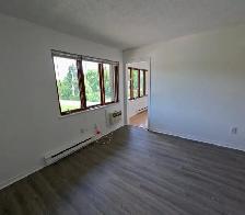 Arnprior / White Lake: 2-bedroom plus Den Apartment For Rent - Photo 14