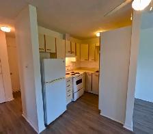 Arnprior / White Lake: 2-bedroom plus Den Apartment For Rent - Photo 17