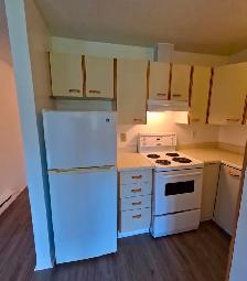 Arnprior / White Lake: 2-bedroom plus Den Apartment For Rent - Photo 18