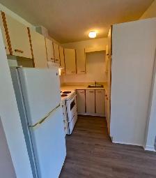 Arnprior / White Lake: 2-bedroom plus Den Apartment For Rent - Photo 19