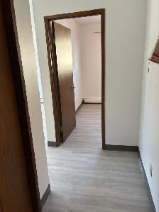 1 BEDROOM APARTMENT AVAILABLE PERFECT FOR SENIOR LIVING - Photo 4