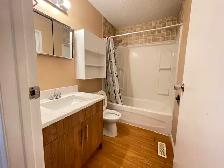 Clean & bright main floor furnished private BR for rent in SE - Photo 6