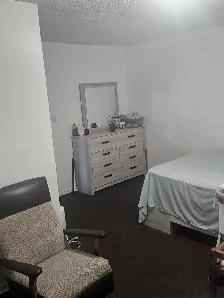 Pineview Rental- 1 bedroom suite - Photo 4