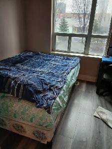 ROOM RENT IN SQ 1 MISSISSAUGA - Photo 3