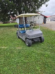 Utility Golf Cart - Photo 3