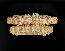 Iced Out Gold Grillz Set (Hip Hop Bling) - Photo 2