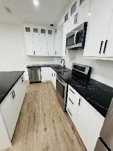 2 bedrooms Basement ( BRAND NEW ) All inclusive - Photo 6