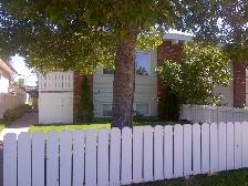 1 Bdrm Basement Suite 5 Min Walk to Anderson LRT South Cent Mall