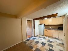1 Bdrm Basement Suite 5 Min Walk to Anderson LRT South Cent Mall - Photo 3
