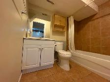 1 Bdrm Basement Suite 5 Min Walk to Anderson LRT South Cent Mall - Photo 4