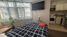 FURNISHED STUDIO IN DOWNTOWN TORONTO- FLEXIBLE LEASE TERMS - Photo 6