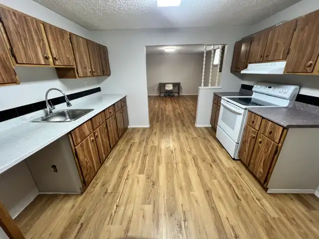 Basement available for rent