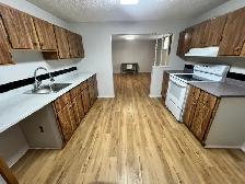 Basement available for rent