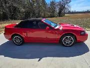 WANT TO BUY Ford Mustang Cobra