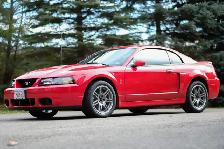 WANT TO BUY Ford Mustang Cobra - Photo 2