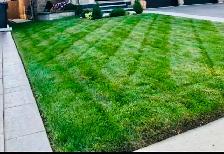 Sodding/Landscaping - Photo 2