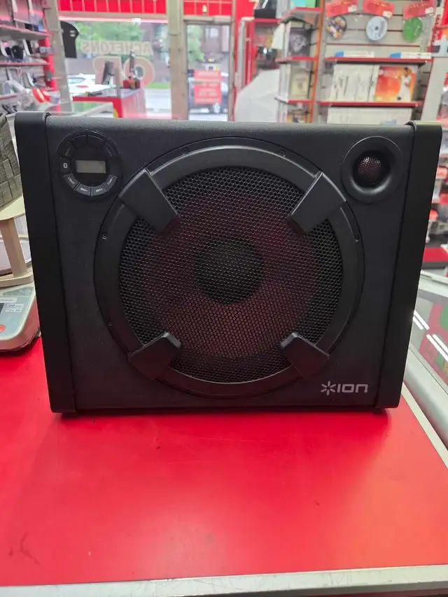 Speaker ion