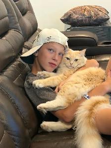 Beautiful TICA registered neutered male ragdoll - Photo 2
