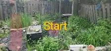 Cleaning and Gardening Services - Photo 3