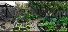 Cleaning and Gardening Services - Photo 4