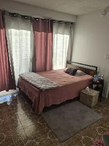 Main Fl Studio/Bachlor Apt rent Warden/Danforth available Sep 1 - Photo 2