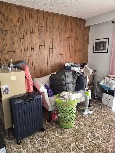 Main Fl Studio/Bachlor Apt rent Warden/Danforth available Sep 1 - Photo 5