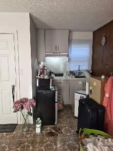 Main Fl Studio/Bachlor Apt rent Warden/Danforth available Sep 1 - Photo 7