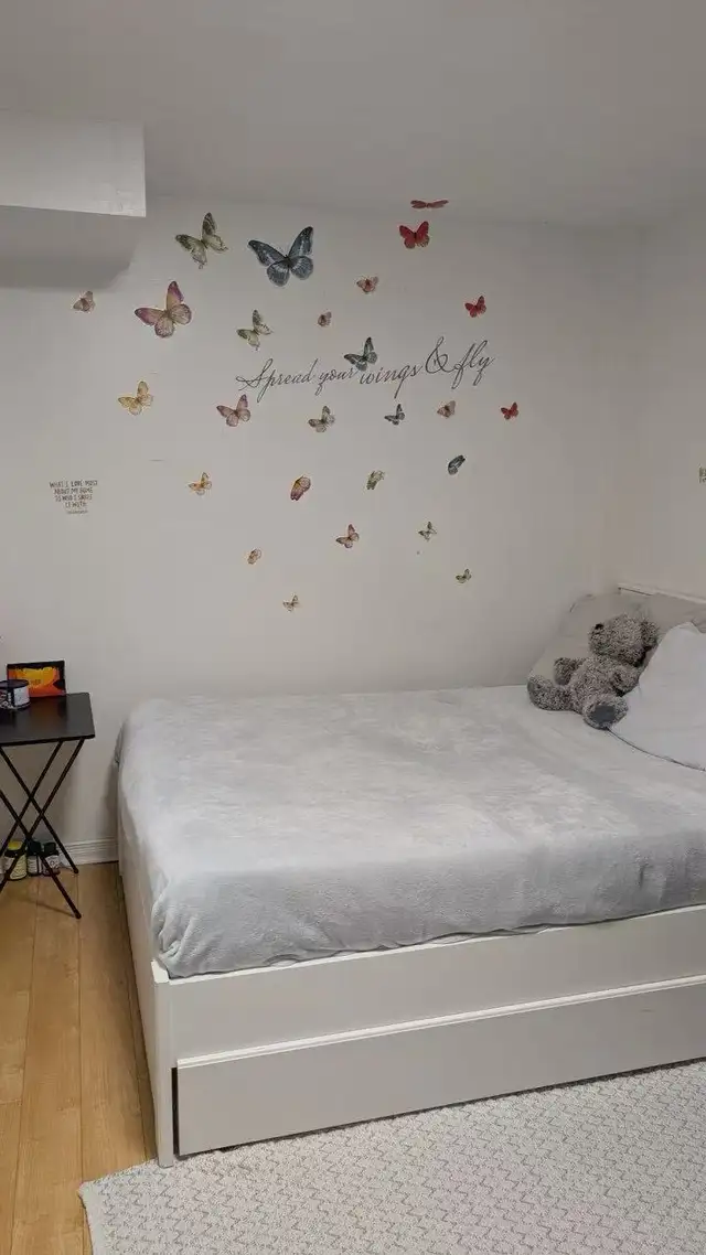 One room in basement for rent