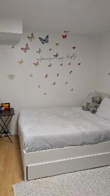 One room in basement for rent