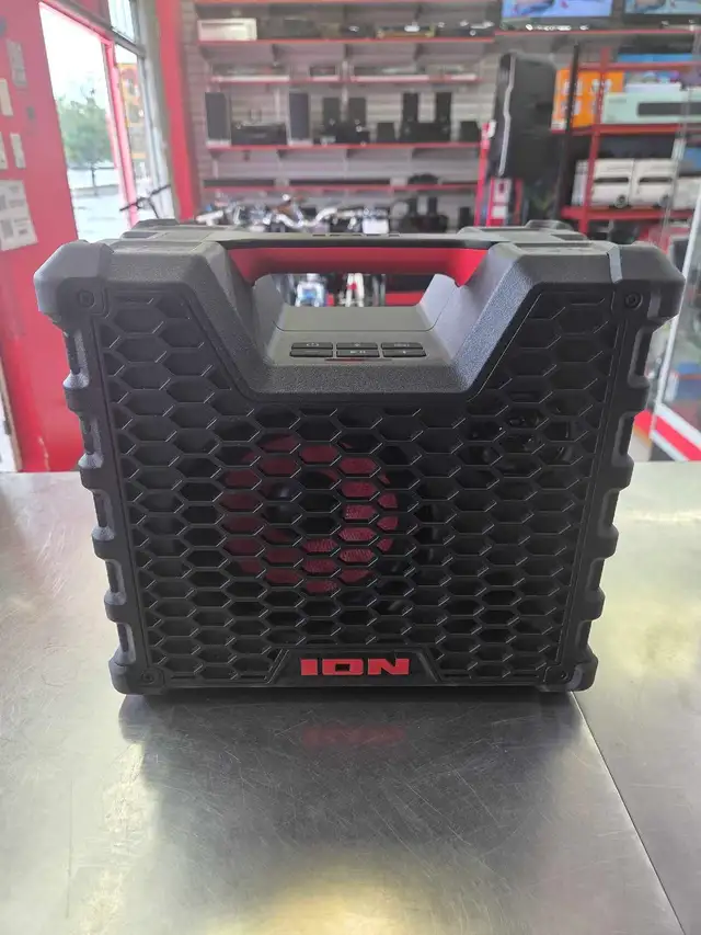 Speaker ion
