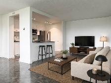 1 Bedroom Apartment for Rent - 15 Eva Rd - Photo 5