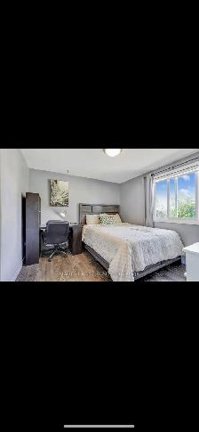 Private Room for Rent