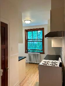 Chauffé, grand 3 1/2 dans le Plateau Mont-Royal - Photo 6