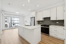 BRAND NEW MODERN 2 BEDROOM 1 BATH APARTMENT