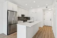 BRAND NEW MODERN 2 BEDROOM 1 BATH APARTMENT - Photo 3