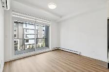 BRAND NEW MODERN 2 BEDROOM 1 BATH APARTMENT - Photo 5
