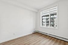 BRAND NEW MODERN 2 BEDROOM 1 BATH APARTMENT - Photo 8