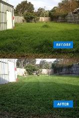 Lawn & Handyman Serivces - Photo 3
