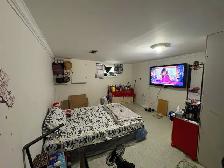 Private room rent for Girl $500, Malton,Mississauga 6475343990