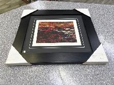 Group of 7 Red Maple Replica Print 583/695
