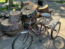 CLASSIC PARKLANE ADULT 6 SPEED TRICYCLE FREIGHTER - Photo 2