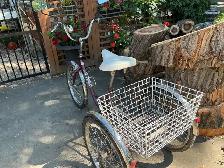 CLASSIC PARKLANE ADULT 6 SPEED TRICYCLE FREIGHTER - Photo 3