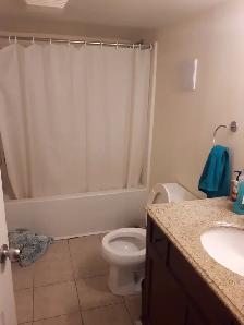 Sept 1. Share 3 bedroom near Dal/Kings $900.00 all in. - Photo 5