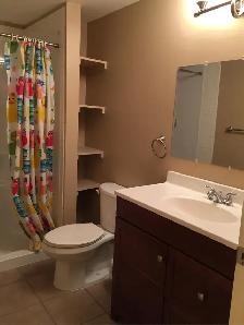 ALL UTILITIES & INTERNET INCLUDED 2 Bed, 1 Bath Lower Suite - Photo 9